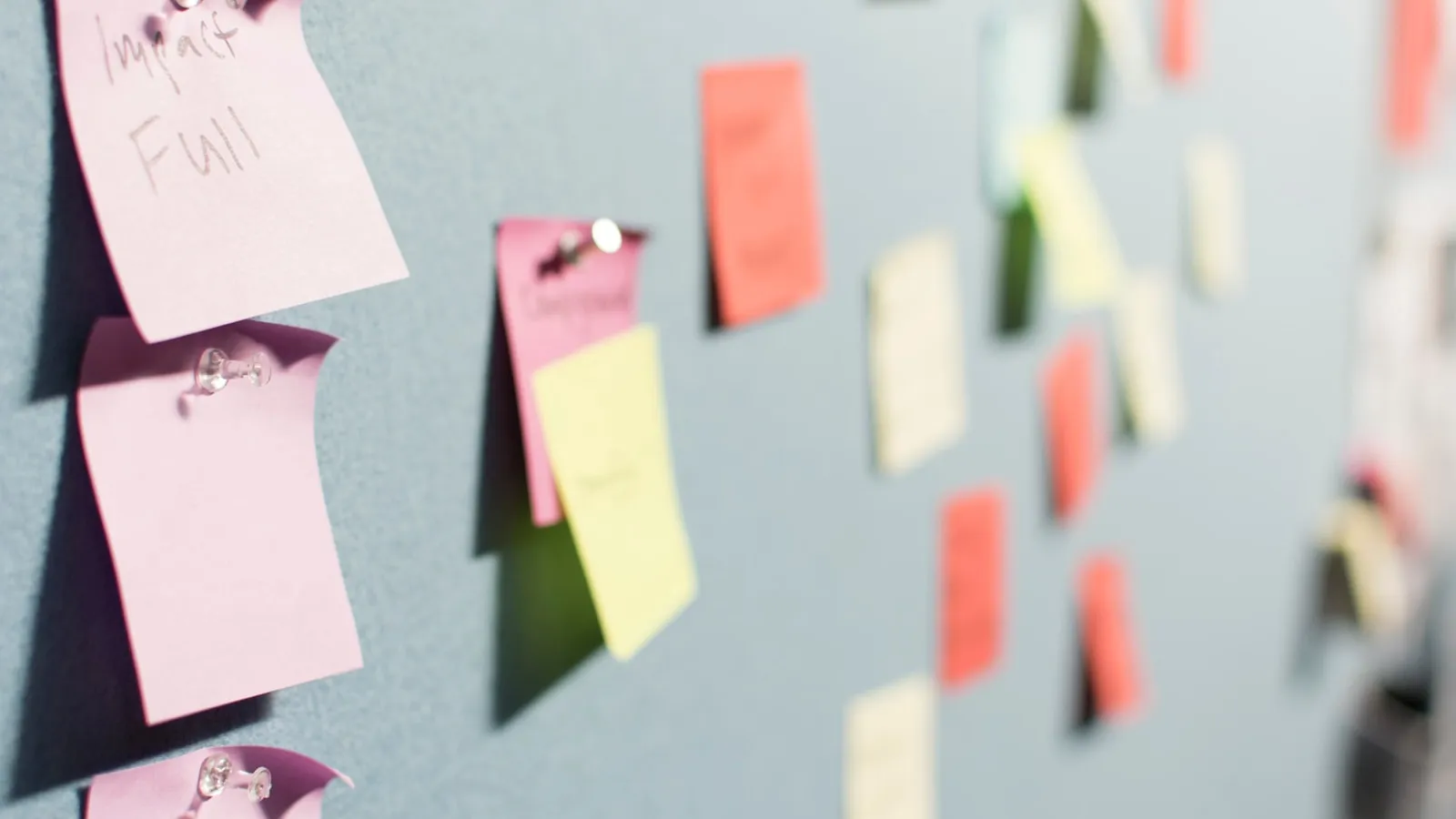 How to Manage Volunteer Schedules Without Losing Your Mind