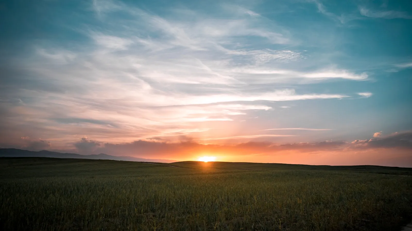 Why We Threw Everything Away and Started Over